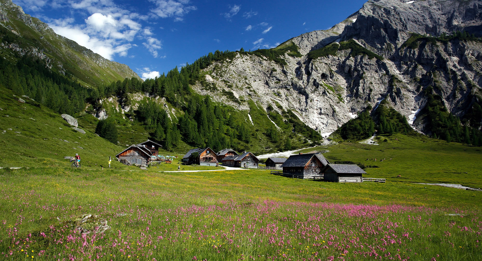 Almlandschaft in Ramsau am Dachstein