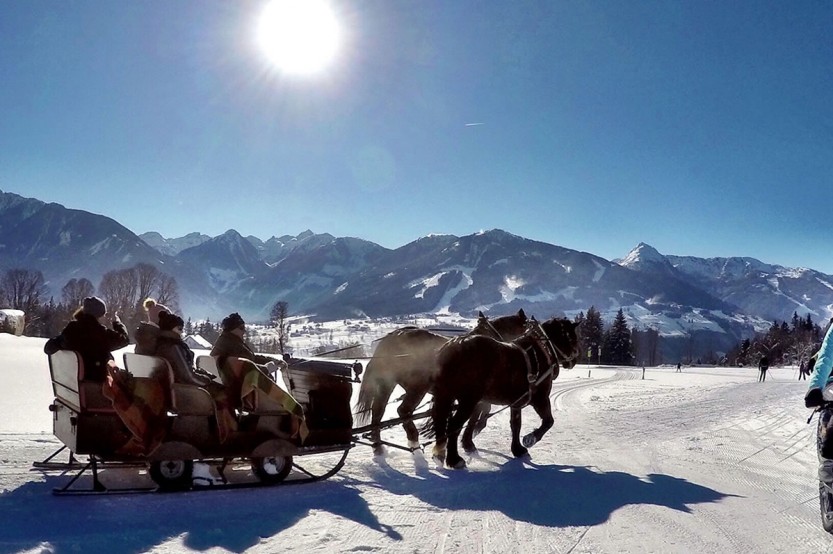 Pferdeschlittenfahren © alpinefatbike.com